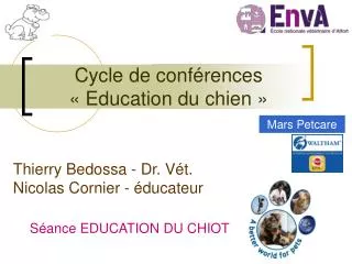 cycle de conf rences education du chien