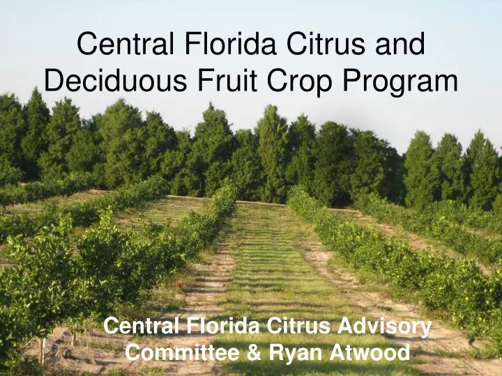 central florida citrus and deciduous fruit crop program