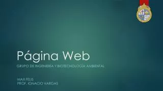 p gina web