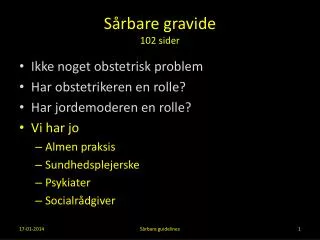 s rbare gravide 102 sider