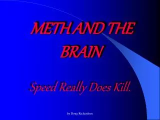 METH AND THE BRAIN