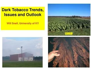 Dark Tobacco Trends, Issues and Outlook Will Snell, University of KY