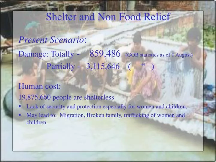 shelter and non food relief