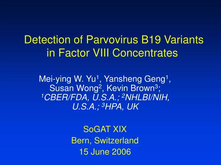 detection of parvovirus b19 variants in factor viii concentrates