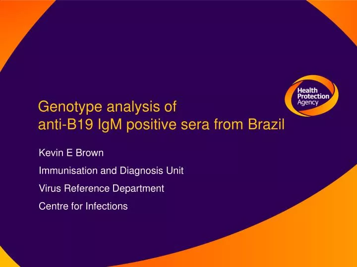 genotype analysis of anti b19 igm positive sera from brazil