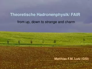 Theoretische Hadronenphysik/ FAIR