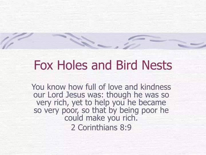 fox holes and bird nests