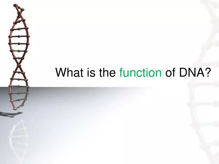what is the function of dna