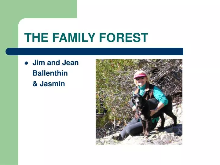the family forest