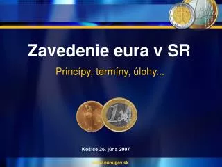 zavedenie eura v sr