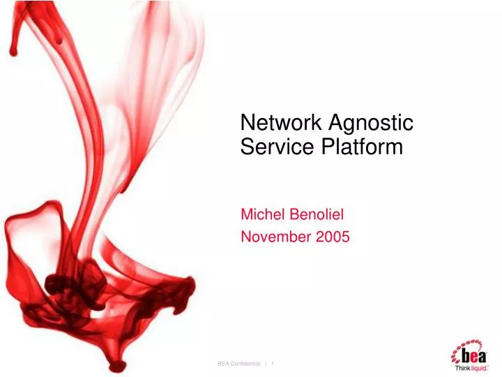 network agnostic service platform