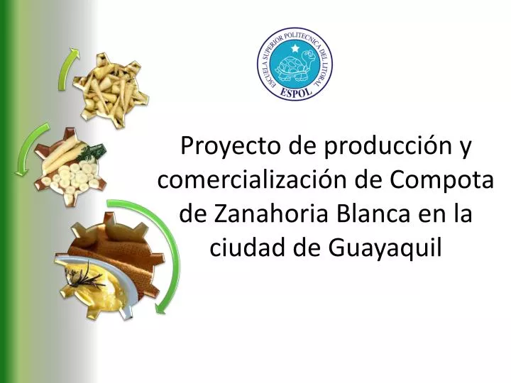 proyecto de producci n y comercializaci n de compota de zanahoria blanca en la ciudad de guayaquil