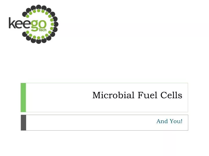 microbial fuel cells