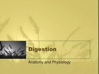 Digestion