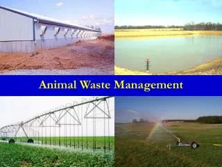 Animal Waste Management