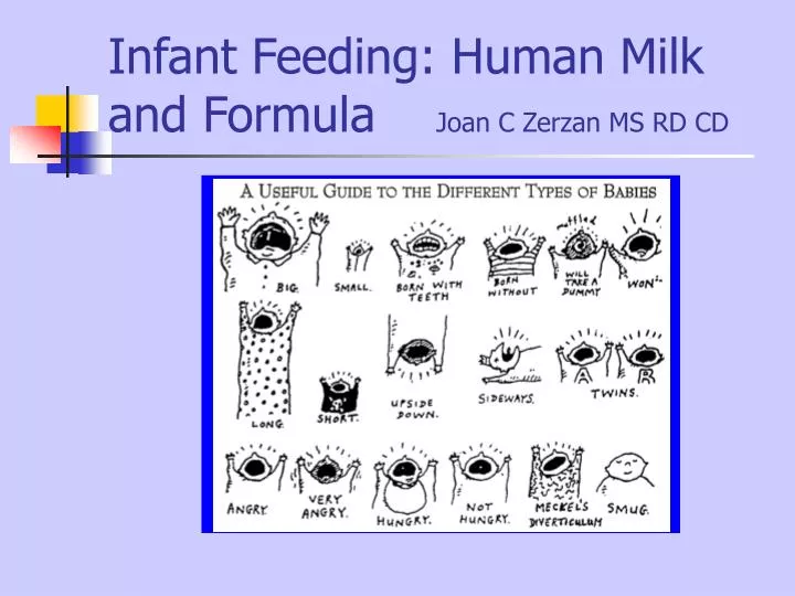 infant feeding human milk and formula joan c zerzan ms rd cd