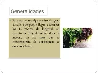 generalidades