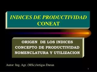 indices de productividad coneat