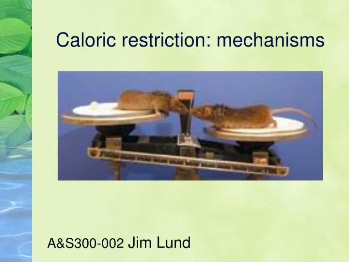 caloric restriction mechanisms
