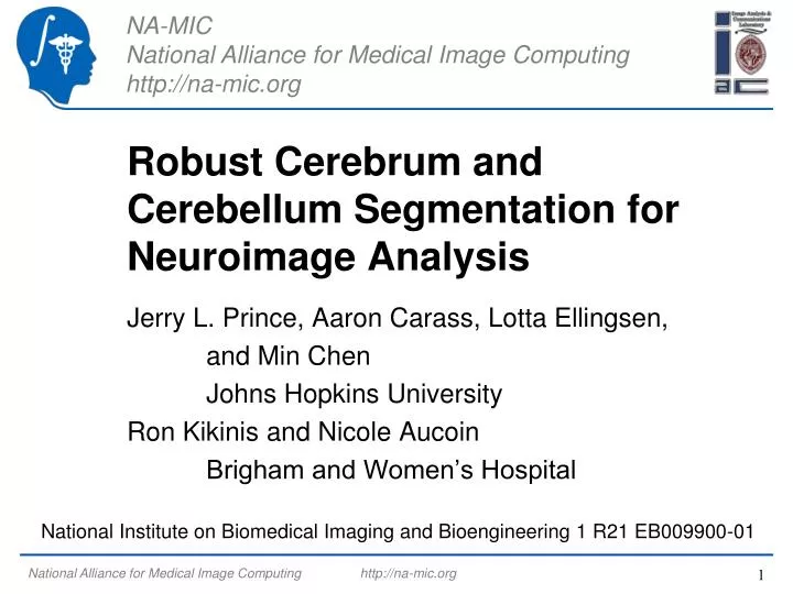 robust cerebrum and cerebellum segmentation for neuroimage analysis