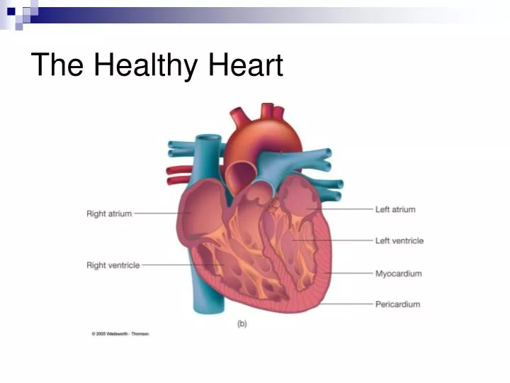 the healthy heart