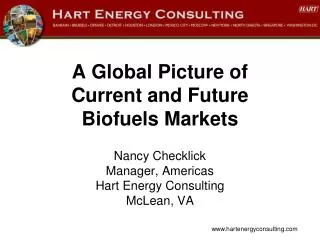 A Global Picture of Current and Future Biofuels Markets