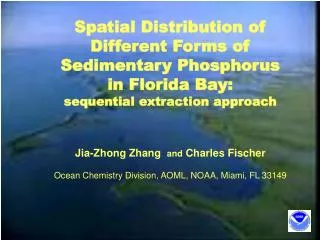 Spatial Distribution of Different Forms of Sedimentary Phosphorus in Florida Bay: