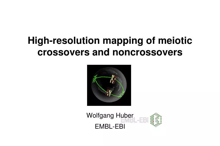 high resolution mapping of meiotic crossovers and noncrossovers