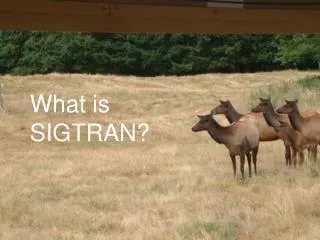 What is SIGTRAN?