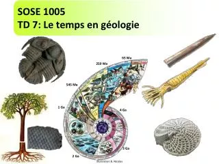 sose 1005 td 7 le temps en g ologie