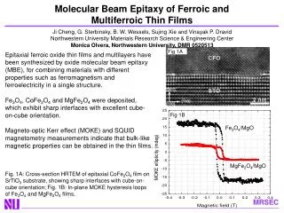 Molecular Beam Epitaxy of Ferroic and Multiferroic Thin Films