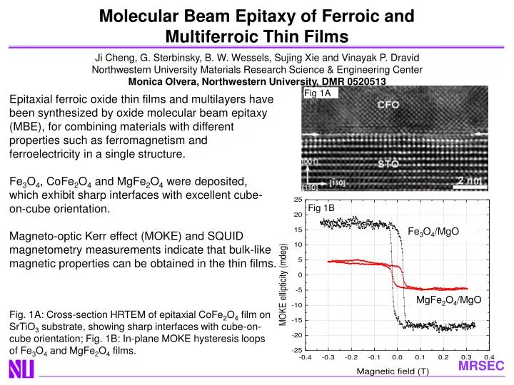 molecular beam epitaxy of ferroic and multiferroic thin films