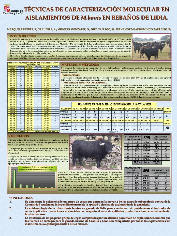 t cnicas de caracterizaci n molecular en aislamientos de m bovis en reba os de lidia