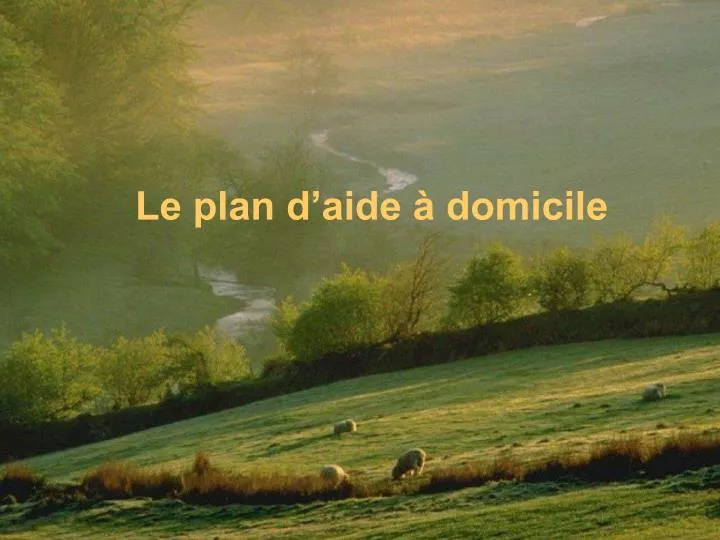 le plan d aide domicile