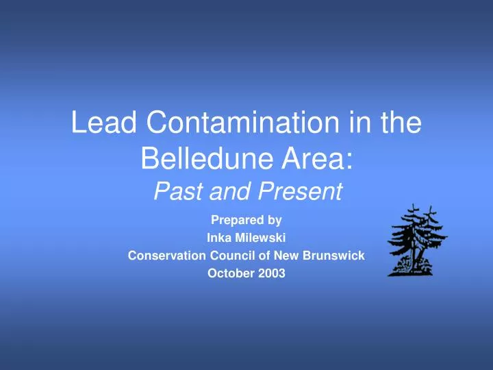 lead contamination in the belledune area past and present