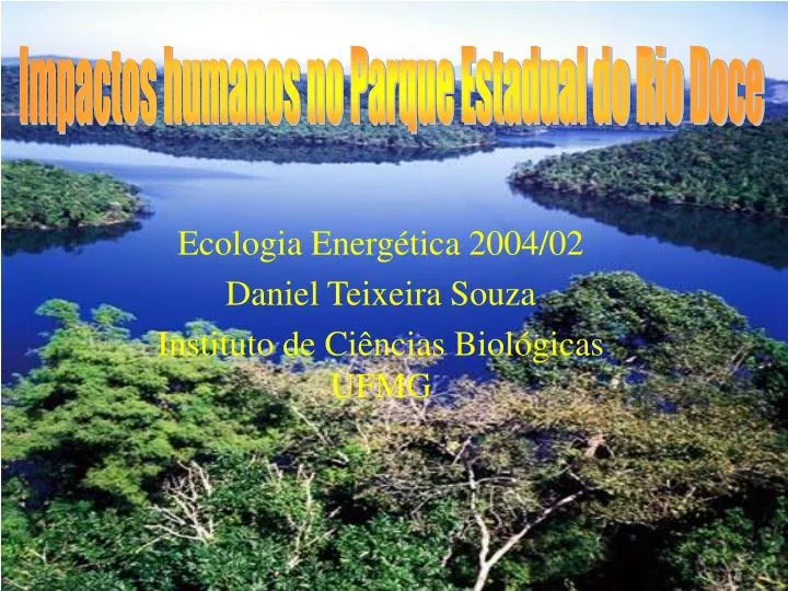 ecologia energ tica 2004 02 daniel teixeira souza instituto de ci ncias biol gicas ufmg