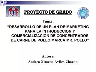 proyecto de grado