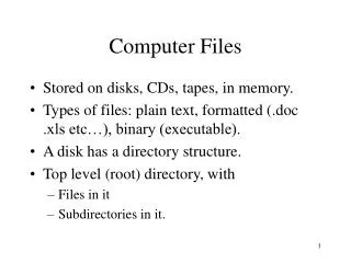 Computer Files