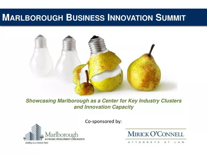 marlborough business innovation summit