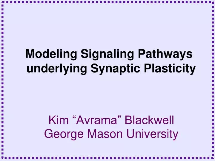 modeling signaling pathways underlying synaptic plasticity