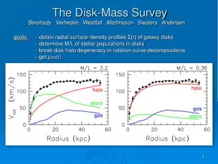 The Disk-Mass Survey