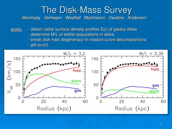 the disk mass survey