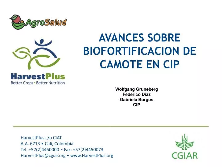 avances sobre biofortificacion de camote en cip