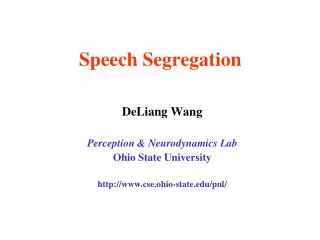 Speech Segregation
