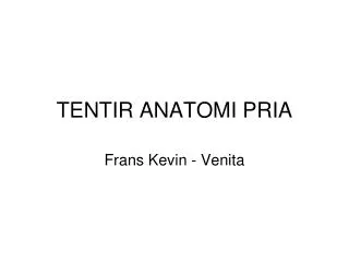 tentir anatomi pria