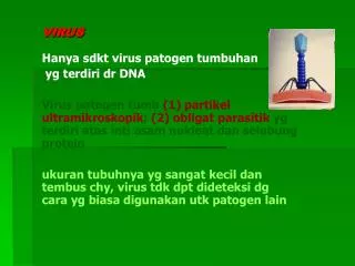 virus