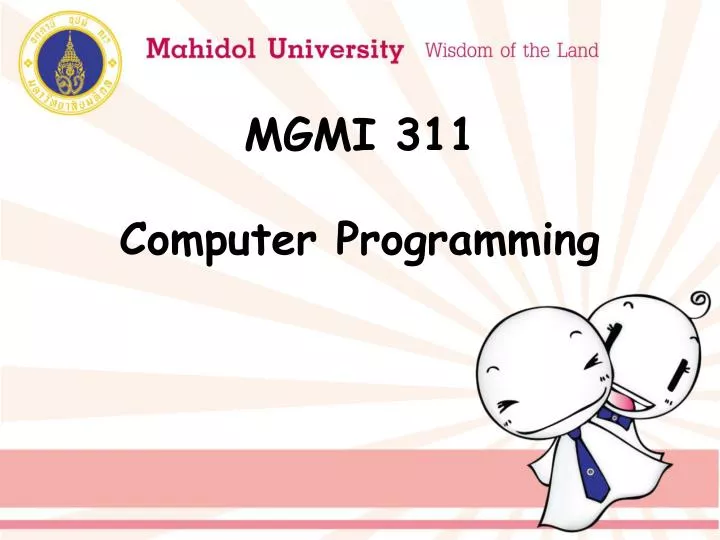 mgmi 311 computer programming