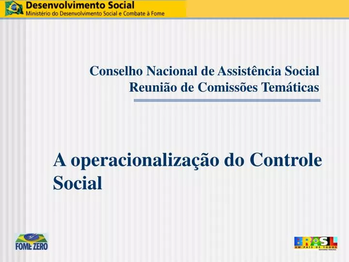 conselho nacional de assist ncia social reuni o de comiss es tem ticas