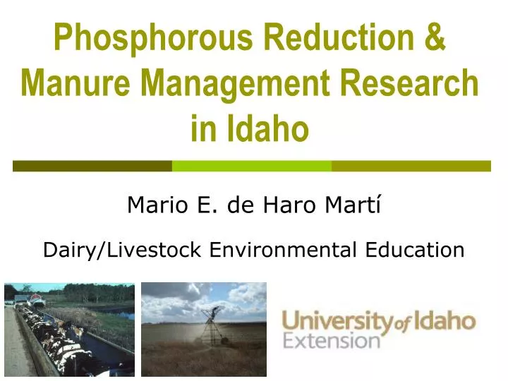 phosphorous reduction manure management research in idaho