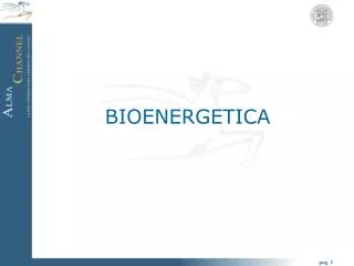 bioenergetica